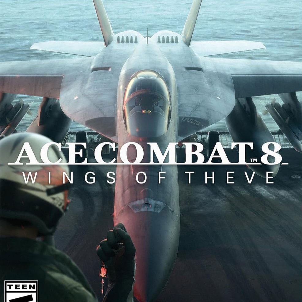 ACE COMBAT 8 ps5